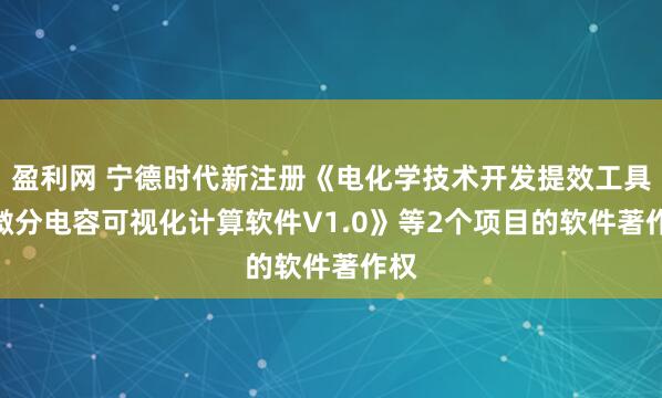 盈利网 宁德时代新注册《电化学技术开发提效工具--微分电容可视化计算软件V1.0》等2个项目的软件著作权