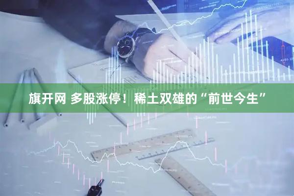 旗开网 多股涨停！稀土双雄的“前世今生”
