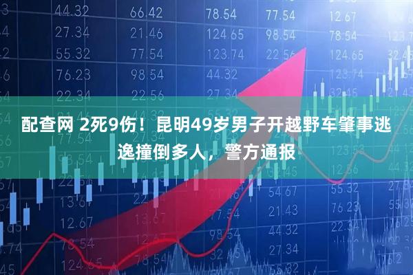 配查网 2死9伤！昆明49岁男子开越野车肇事逃逸撞倒多人，警方通报