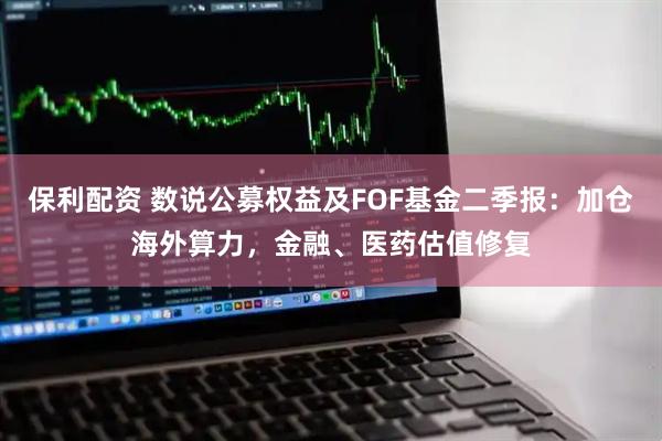 保利配资 数说公募权益及FOF基金二季报：加仓海外算力，金融、医药估值修复