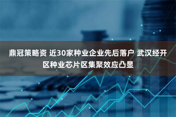 鼎冠策略资 近30家种业企业先后落户 武汉经开区种业芯片区集聚效应凸显