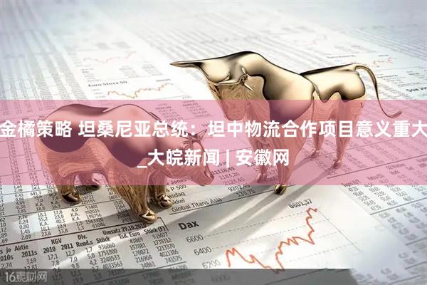 金橘策略 坦桑尼亚总统：坦中物流合作项目意义重大_大皖新闻 | 安徽网