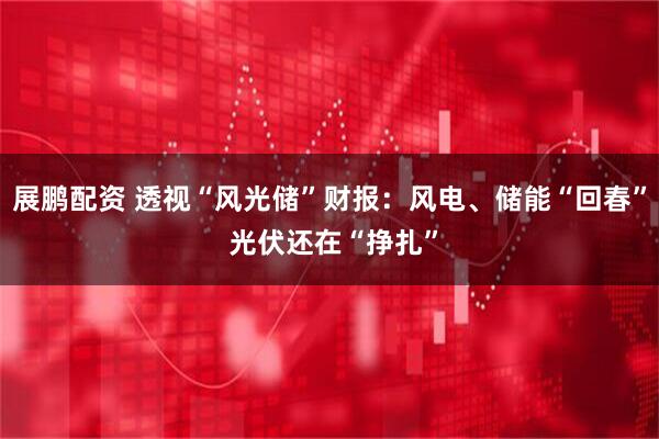 展鹏配资 透视“风光储”财报：风电、储能“回春” 光伏还在“挣扎”