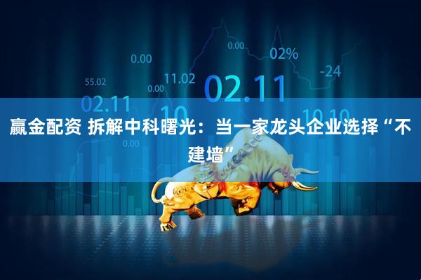 赢金配资 拆解中科曙光：当一家龙头企业选择“不建墙”